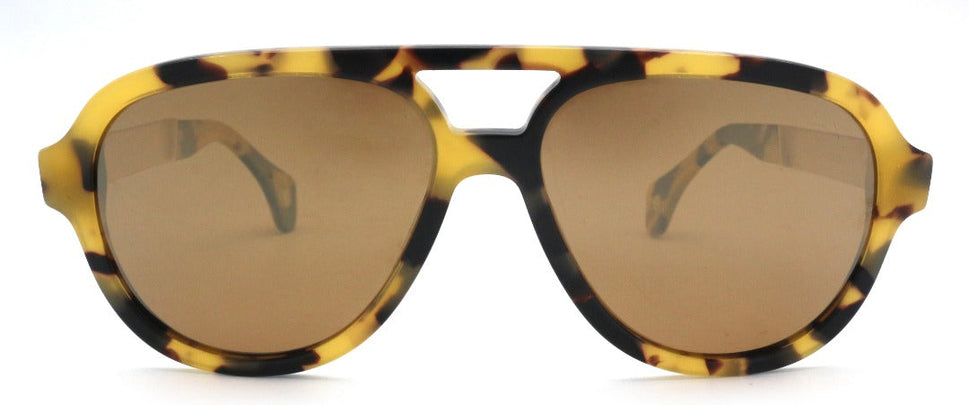 Acacia Aviators