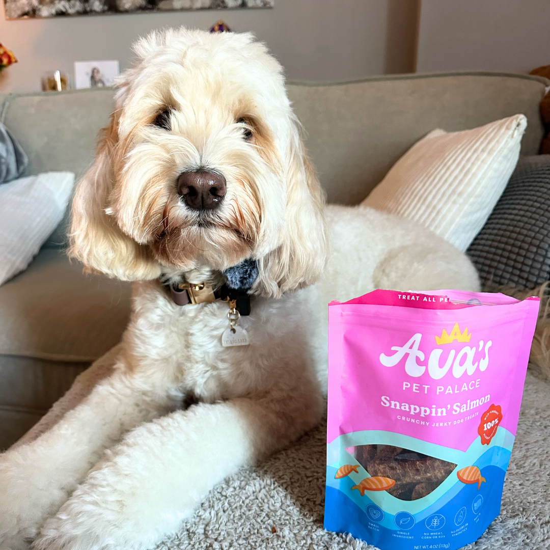 Crunchy Jerky Dog Treats - Snappin' Salmon