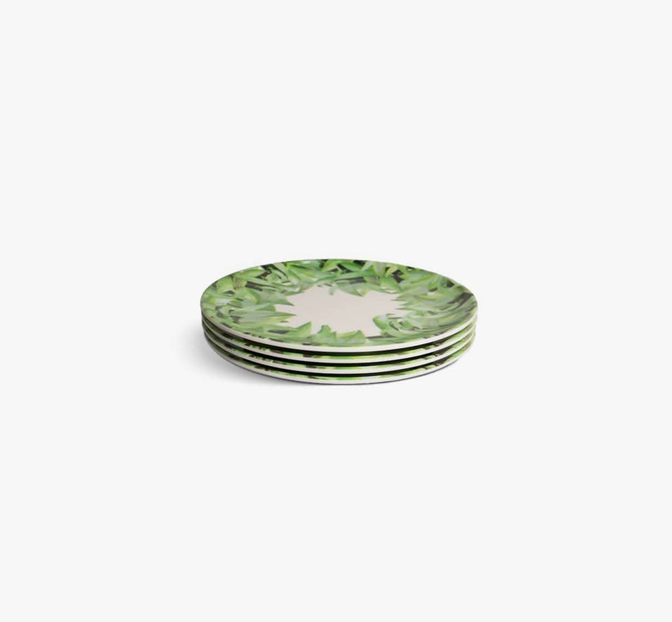 Pura Vida Dinner Plate Set of 4