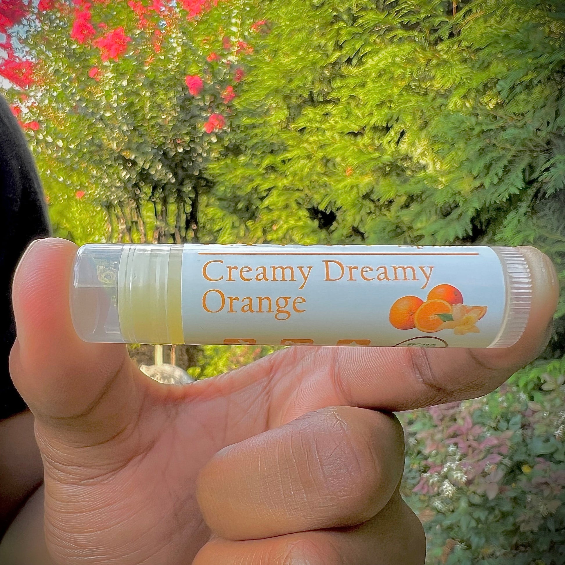 Fruit Extravaganza Lip Balms - Variety 3 Pack