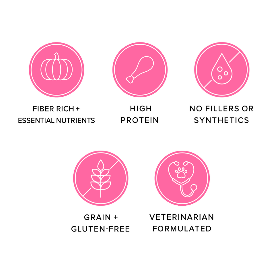 Freeze Dried Dog Treats - Turkey Poppers