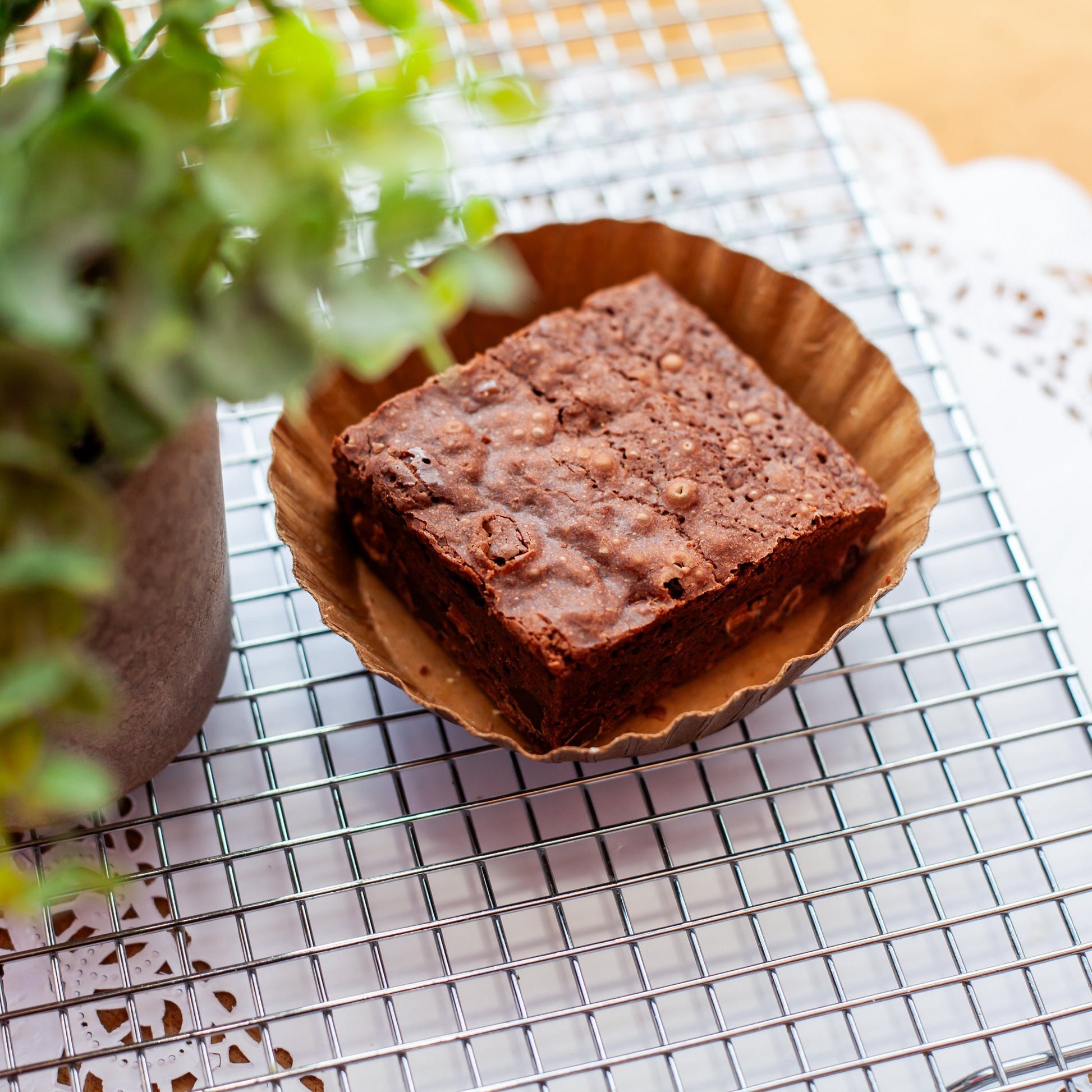 Artisanal Chocolate Brownies