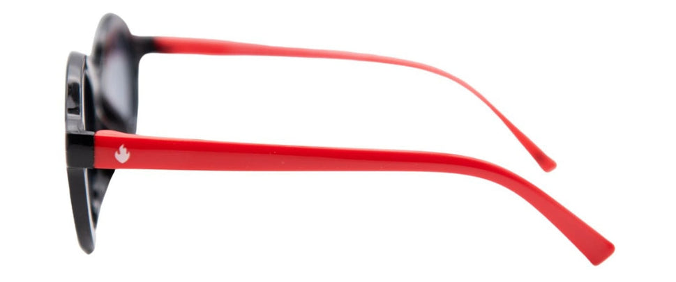 PAW Patrol - Marshall Sunglasses