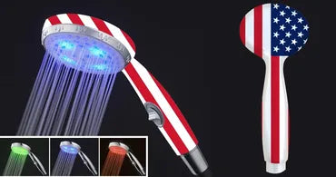 Shower Head (Hand Held)