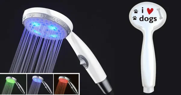 Shower Head (Hand Held)