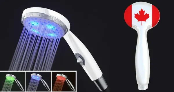 Shower Head (Hand Held)