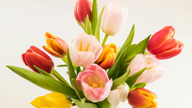 Happy Mother's Day!