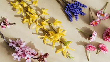Spring Reset