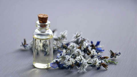 Fragrance