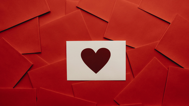 Valentine's Day Collection