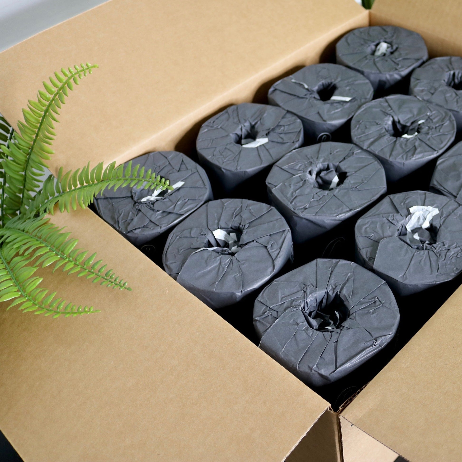 Essential Toilet Paper 12 Single Roll Box
