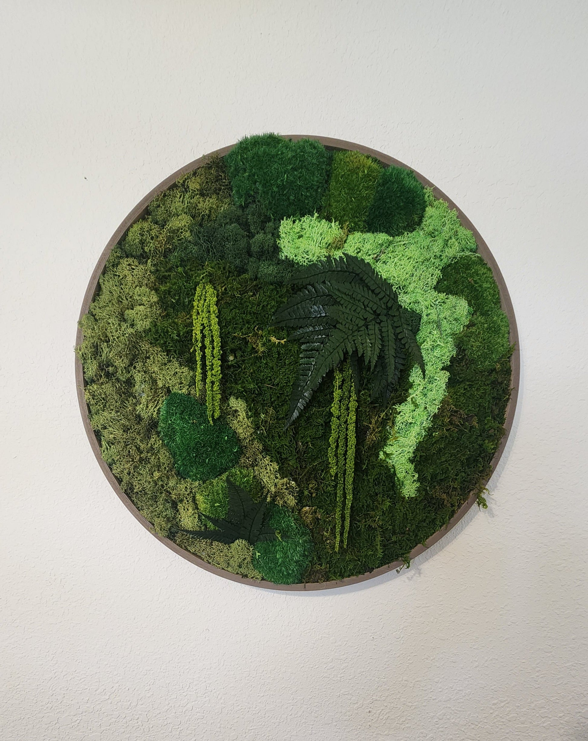 Zero Maintenance Preserved Moss Wall Art