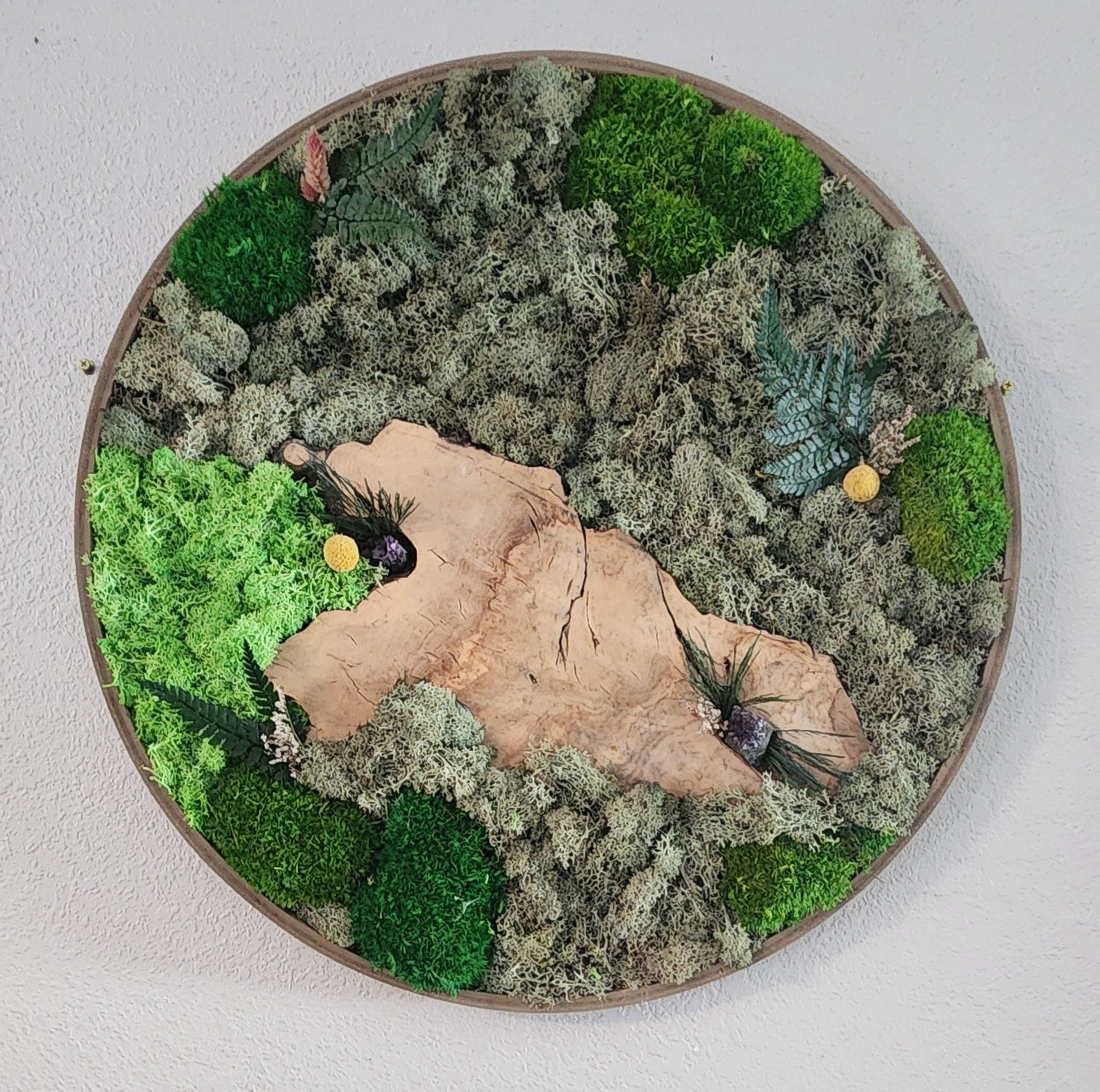Preserved Moss Wall Art | Biophilic Home Decor